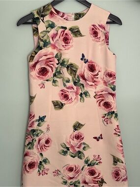 Dolce & Gabbana Pink Rose & Butterfly Print Dress (Size 36)
